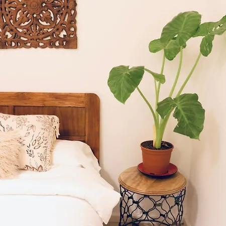 Bed & Breakfast Harmony Barcelona
